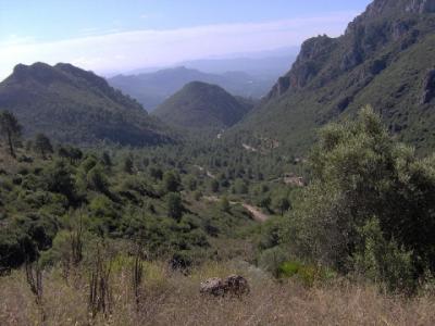 Muntanya.